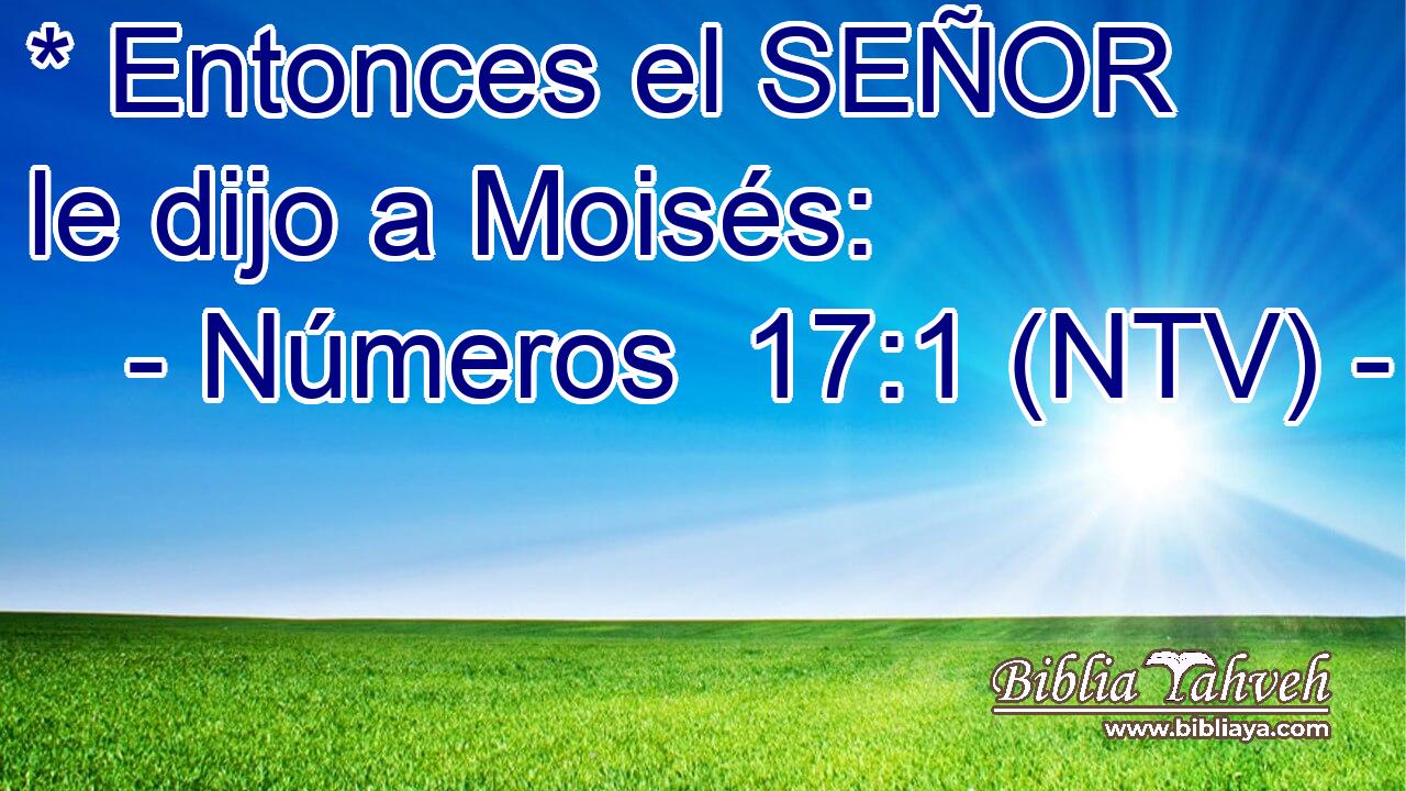 * Entonces el SEÑOR le dijo a Moisés: