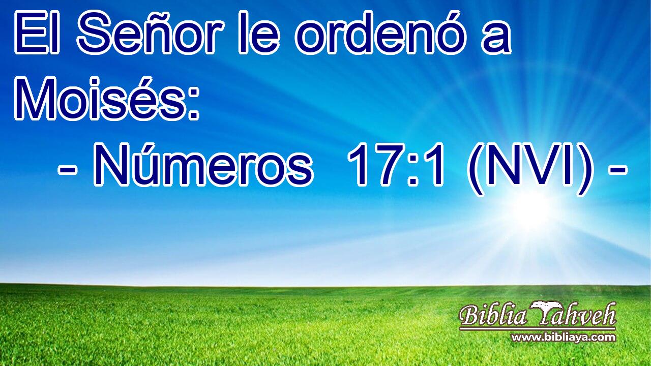  El Señor le ordenó a Moisés: 