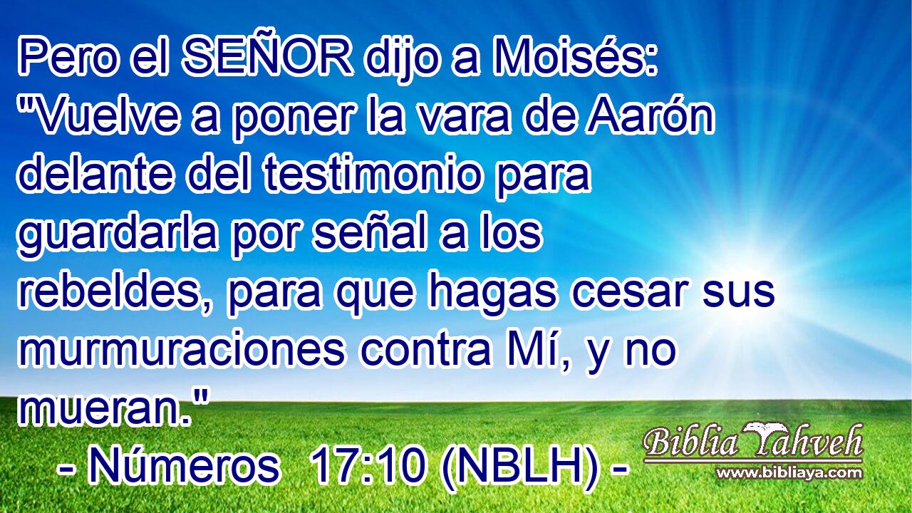  Pero el SEÑOR dijo a Moisés: 