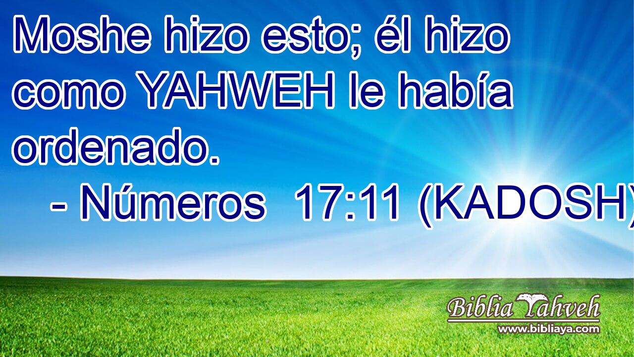  Moshe hizo esto; él hizo como YAHWEH le había ordenado. 