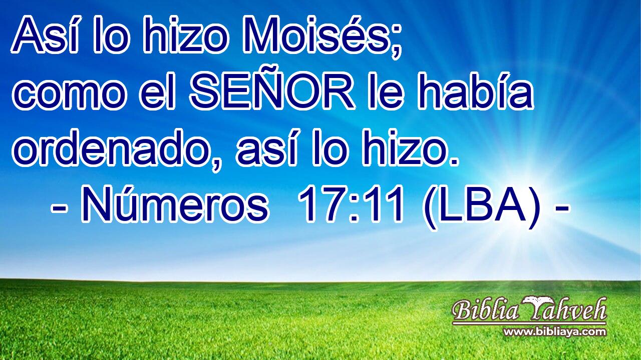 Así lo hizo Moisés; como el SEÑOR le había ordenado, así lo hizo.