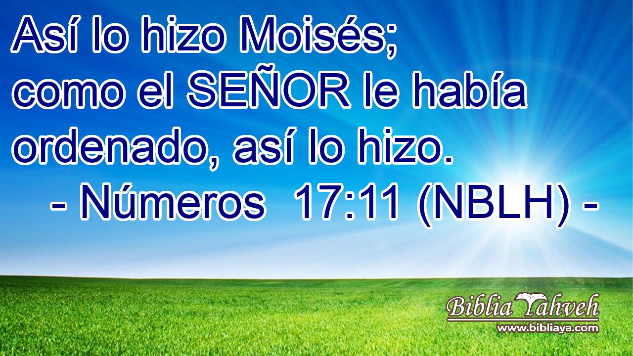  Así lo hizo Moisés; como el SEÑOR le había ordenado, así lo hizo. 