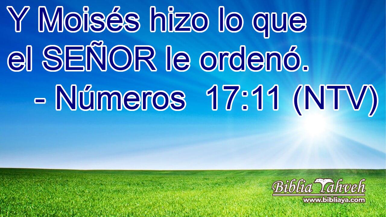 Y Moisés hizo lo que el SEÑOR le ordenó.