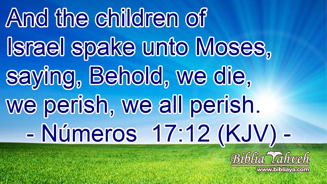 And the children of Israel spake unto Moses, saying, Behold, we die, we perish, we all perish.