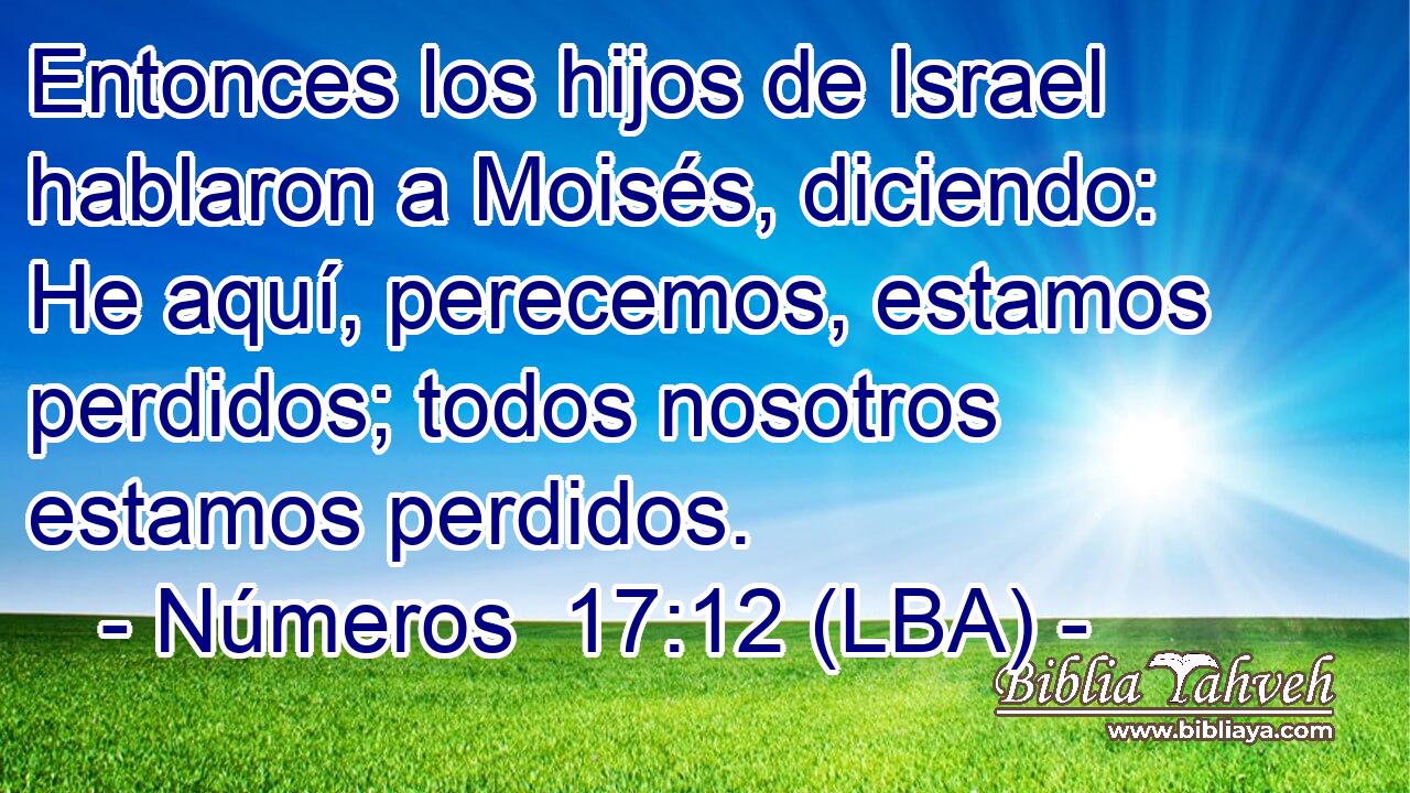 Entonces los hijos de Israel hablaron a Moisés, diciendo: He aquí, perecemos, estamos perdidos; todos nosotros estamos perdidos.
