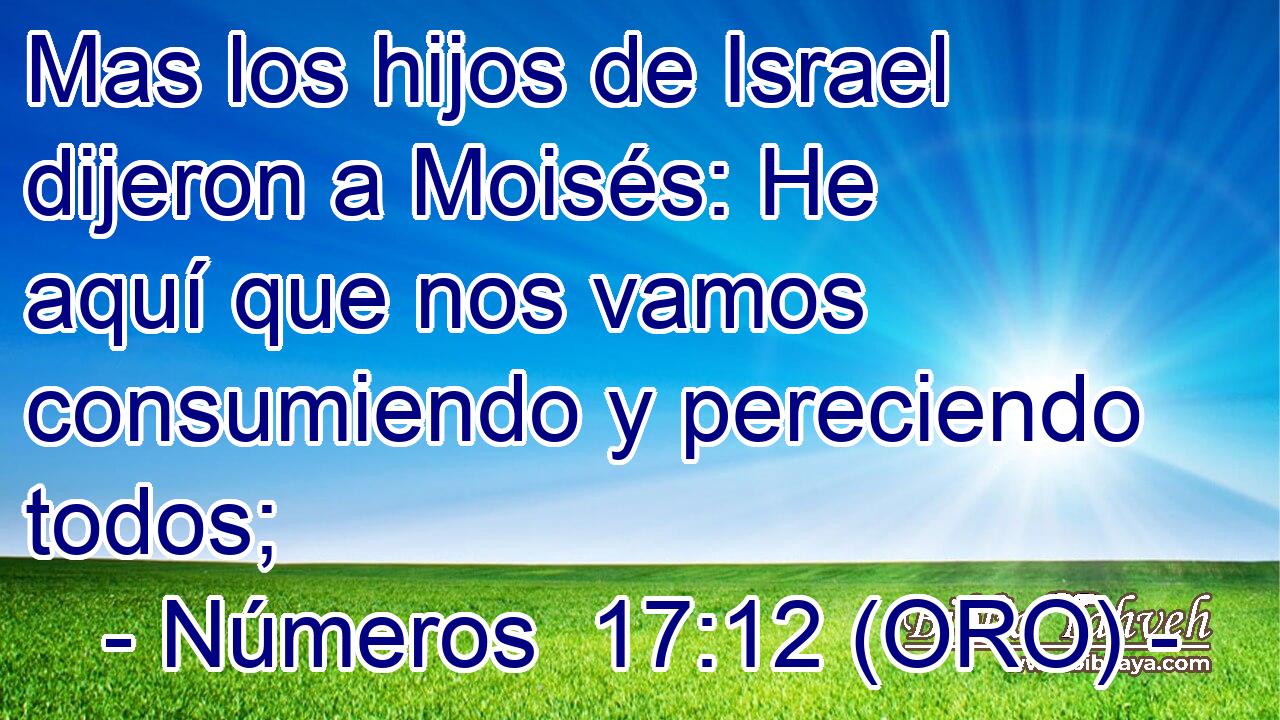  Mas los hijos de Israel dijeron a Moisés: He aquí que nos vamos consumiendo y pereciendo todos; 