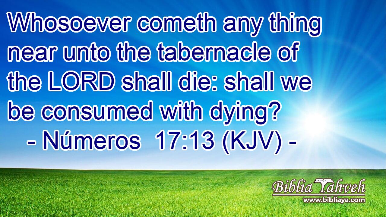 Whosoever cometh any thing near unto the tabernacle of the LORD shall die: shall we be consumed with dying?