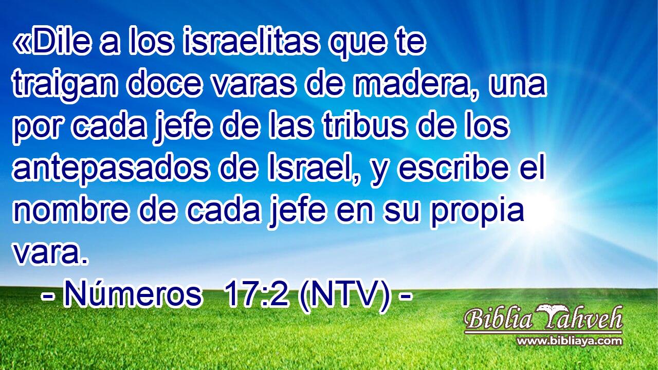 «Dile a los israelitas que te traigan doce varas de madera, una por cada jefe de las tribus de los antepasados de Israel, y escribe el nombre de cada jefe en su propia vara.