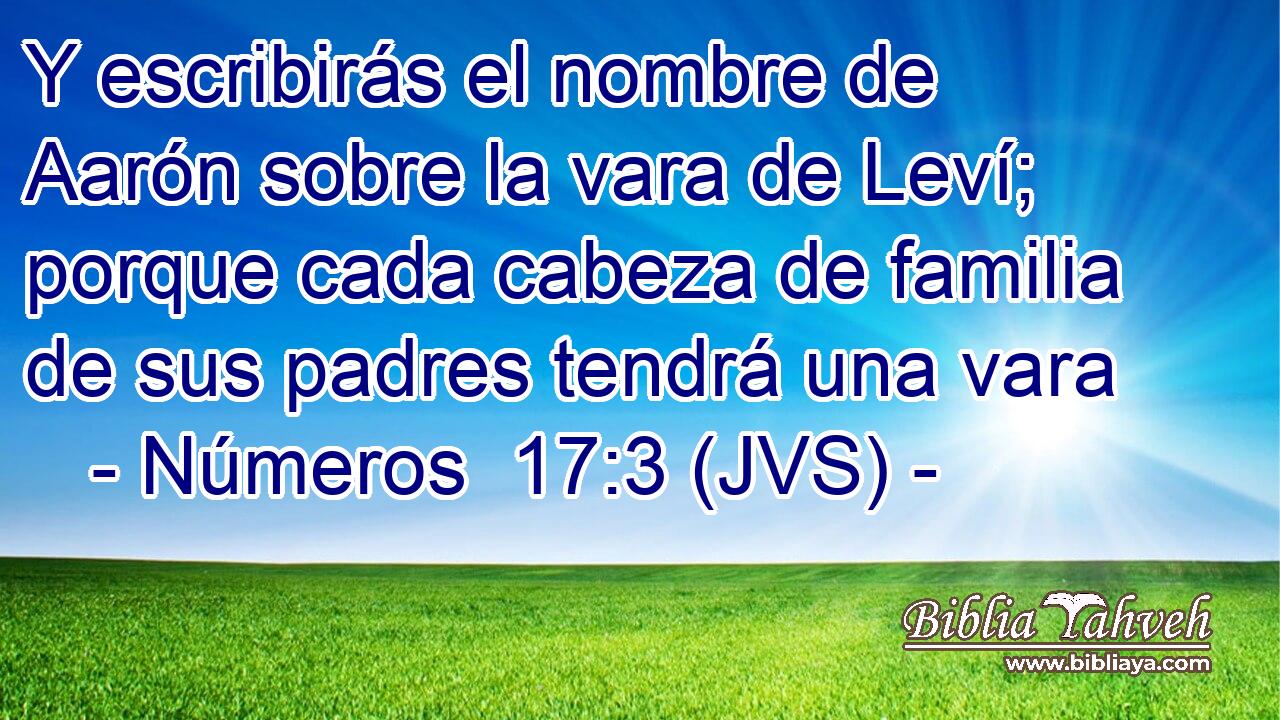 Y escribirás el nombre de Aarón sobre la vara de Leví; porque cada cabeza de familia de sus padres tendrá una vara