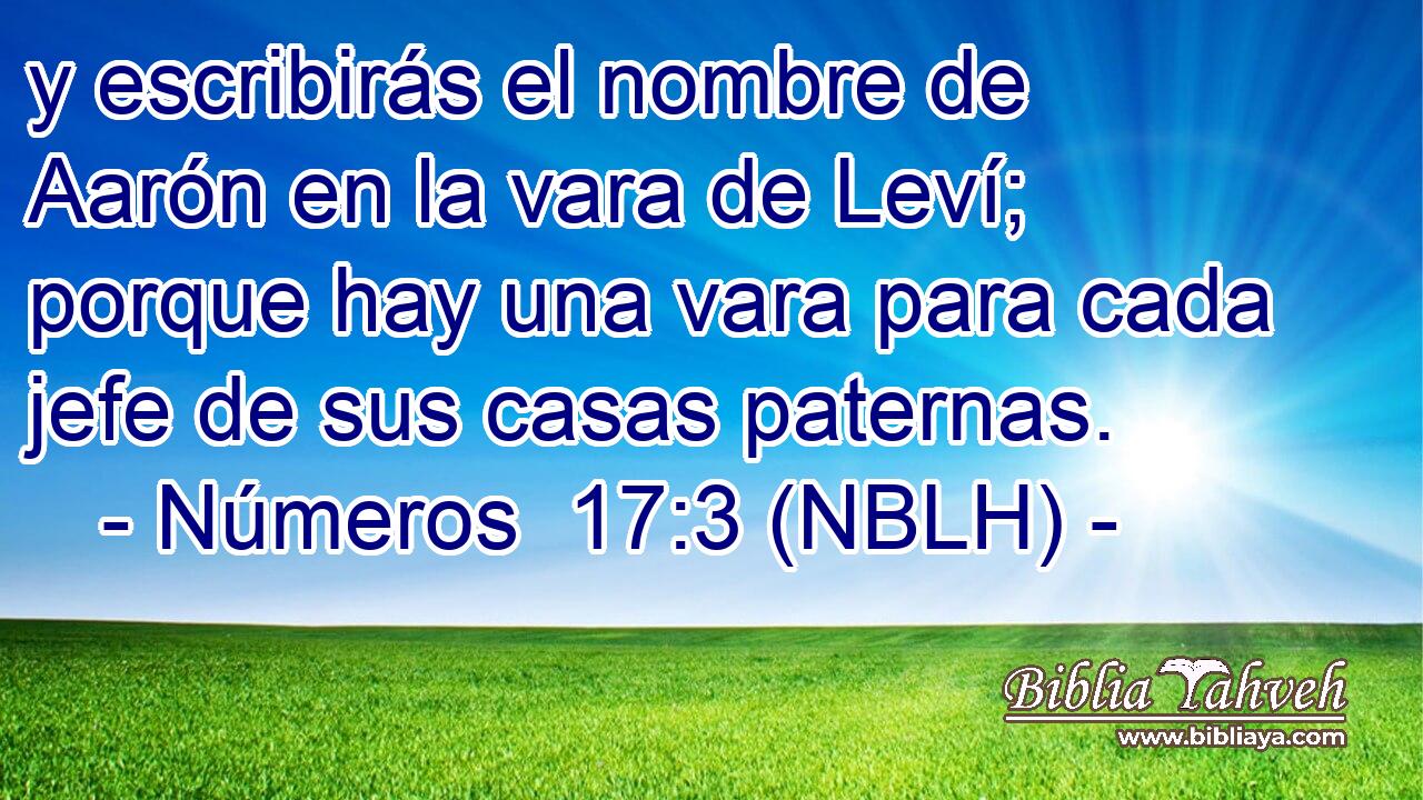  y escribirás el nombre de Aarón en la vara de Leví; porque hay una vara para cada jefe de sus casas paternas. 