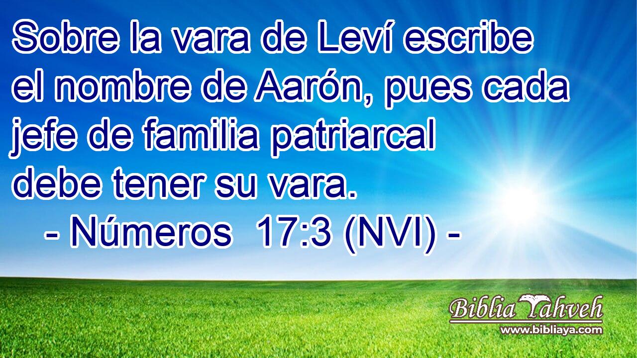  Sobre la vara de Leví escribe el nombre de Aarón, pues cada jefe de familia patriarcal debe tener su vara. 