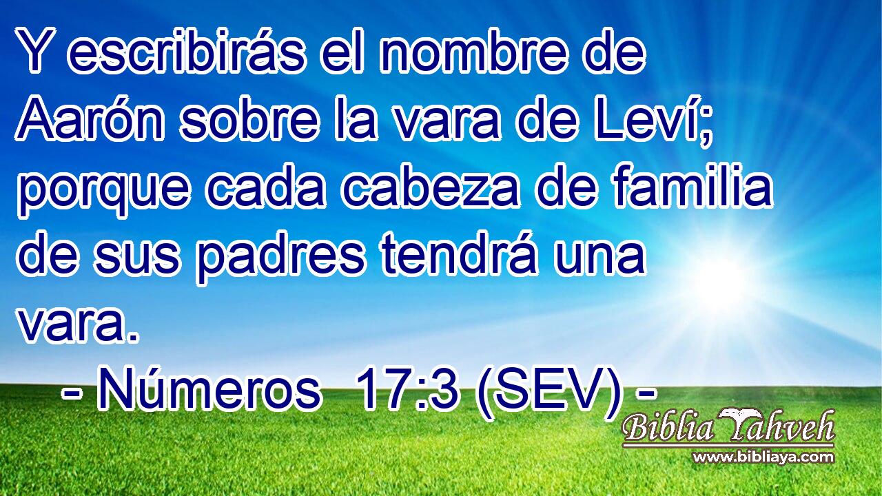 Y escribirás el nombre de Aarón sobre la vara de Leví; porque cada cabeza de familia de sus padres tendrá una vara.