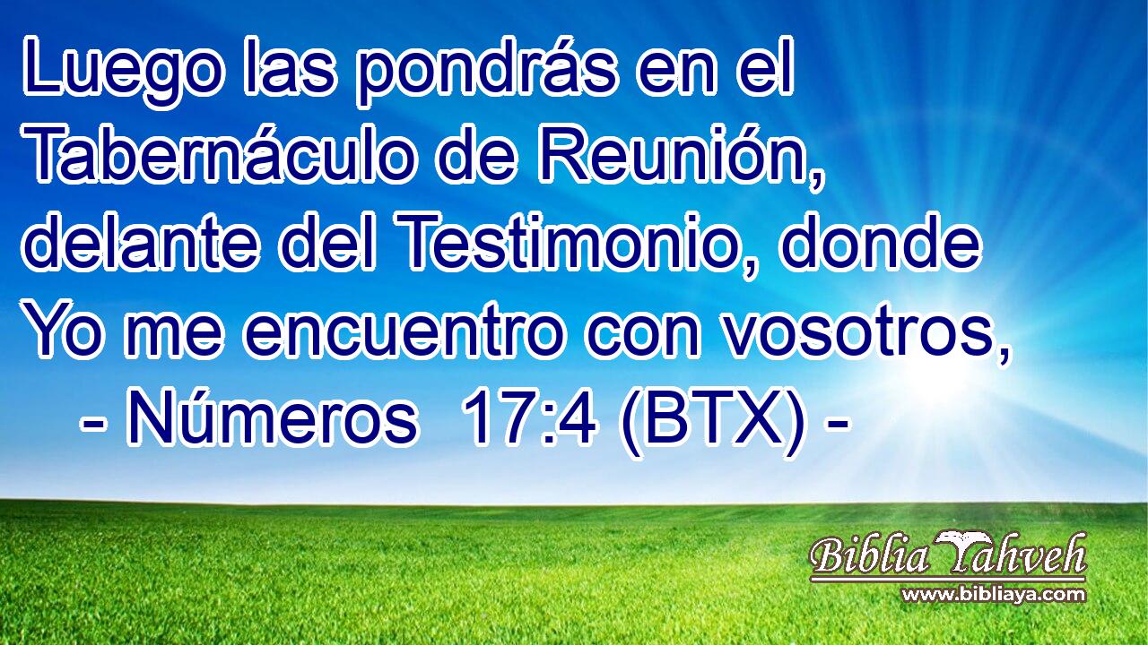 Luego las pondrás en el Tabernáculo de Reunión, delante del Testimonio, donde Yo me encuentro con vosotros,