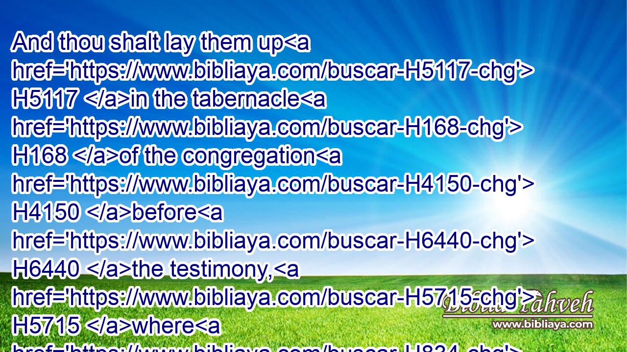 And thou shalt lay them up H5117 in the tabernacle H168 of the congregation H4150 before H6440 the testimony, H5715 where H834  H8033 I will meet H3259 with you.