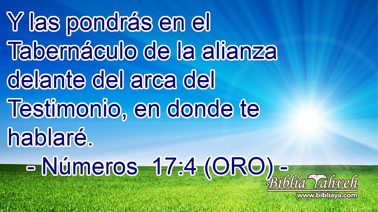  Y las pondrás en el Tabernáculo de la alianza delante del arca del Testimonio, en donde te hablaré. 