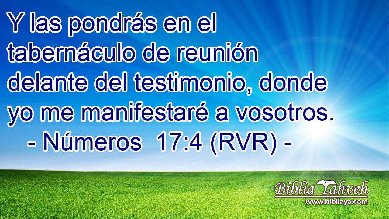 Y las pondrás en el tabernáculo de reunión delante del testimonio, donde yo me manifestaré a vosotros.