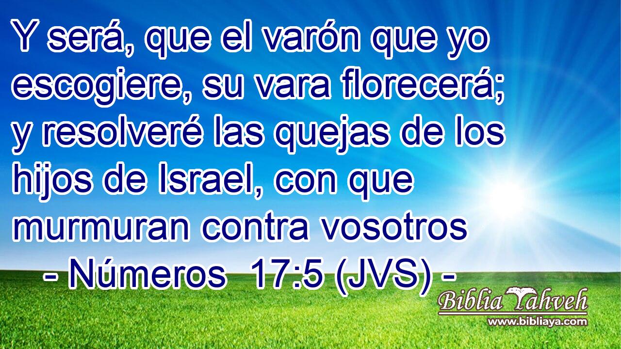 Y será, que el varón que yo escogiere, su vara florecerá; y resolveré las quejas de los hijos de Israel, con que murmuran contra vosotros