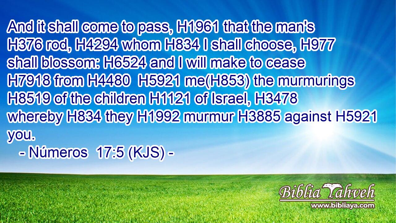 And it shall come to pass, H1961 that the man's H376 rod, H4294 whom H834 I shall choose, H977 shall blossom: H6524 and I will make to cease H7918 from H4480  H5921 me(H853) the murmurings H8519 of the children H1121 of Israel, H3478 whereby H834 they H1992 murmur H3885 against H5921 you.