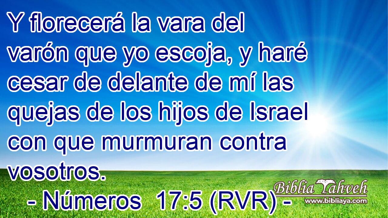 Y florecerá la vara del varón que yo escoja, y haré cesar de delante de mí las quejas de los hijos de Israel con que murmuran contra vosotros.