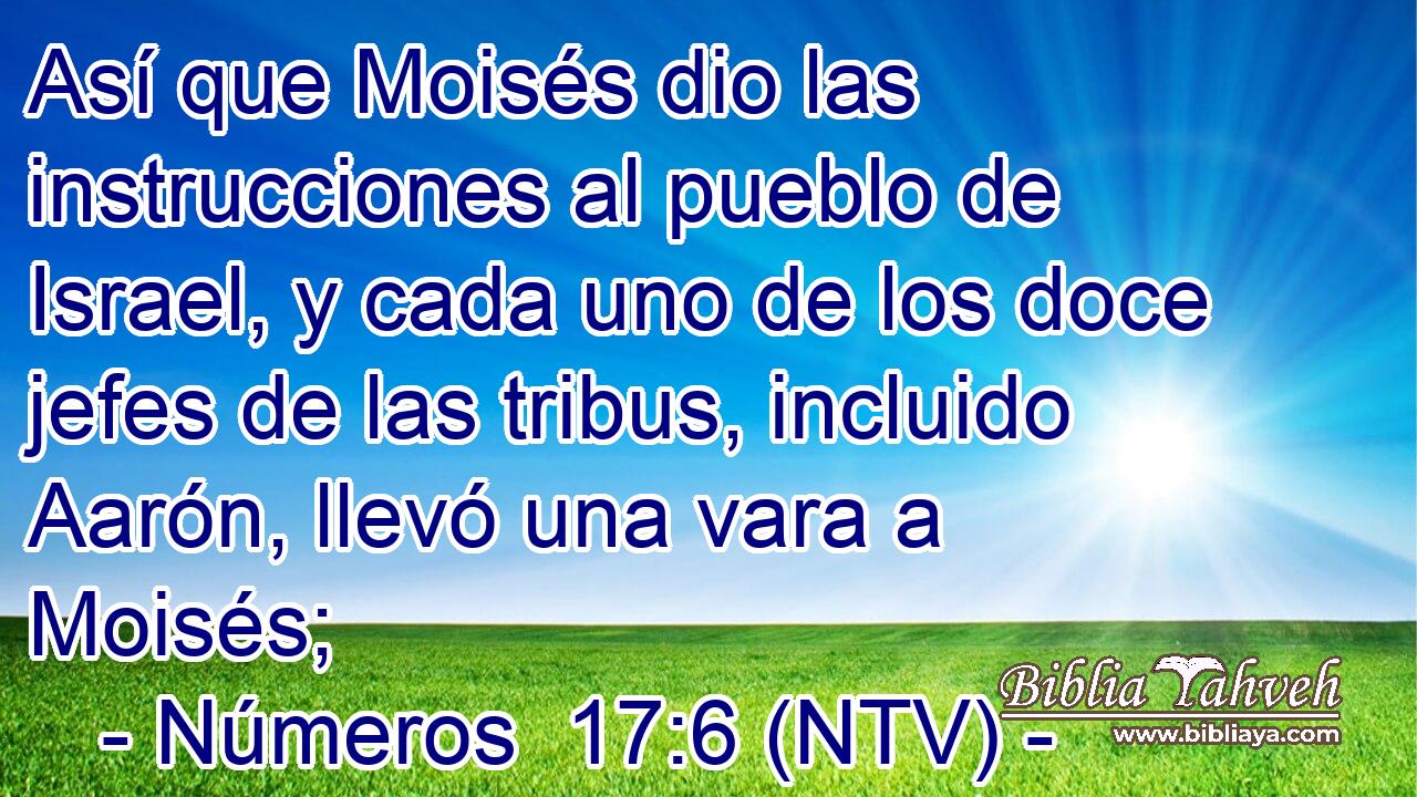 Así que Moisés dio las instrucciones al pueblo de Israel, y cada uno de los doce jefes de las tribus, incluido Aarón, llevó una vara a Moisés;