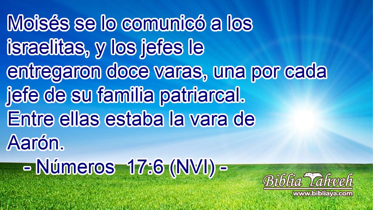  Moisés se lo comunicó a los israelitas, y los jefes le entregaron doce varas, una por cada jefe de su familia patriarcal. Entre ellas estaba la vara de Aarón. 