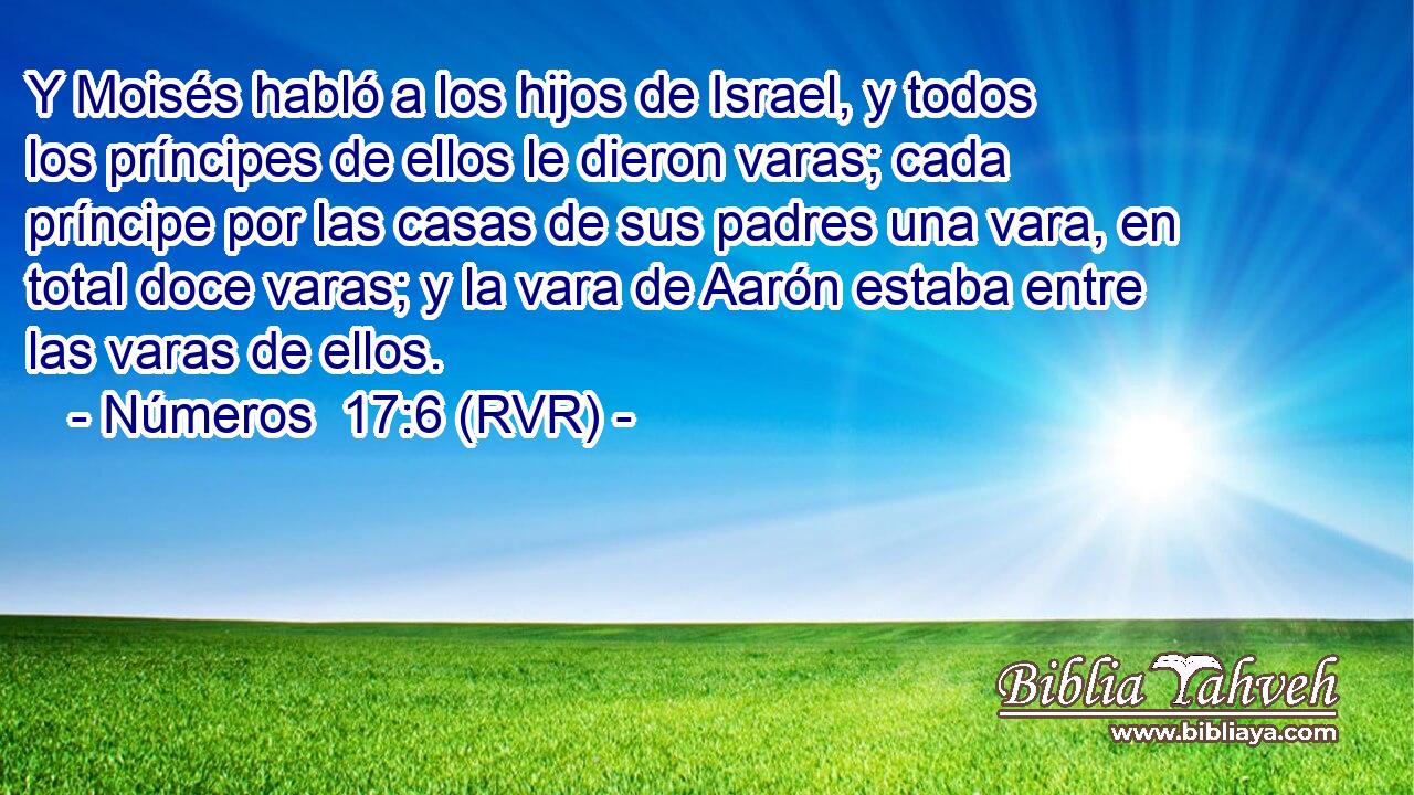 Y Moisés habló a los hijos de Israel, y todos los príncipes de ellos le dieron varas; cada príncipe por las casas de sus padres una vara, en total doce varas; y la vara de Aarón estaba entre las varas de ellos.