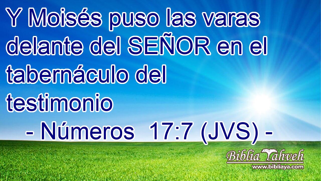 Y Moisés puso las varas delante del SEÑOR en el tabernáculo del testimonio