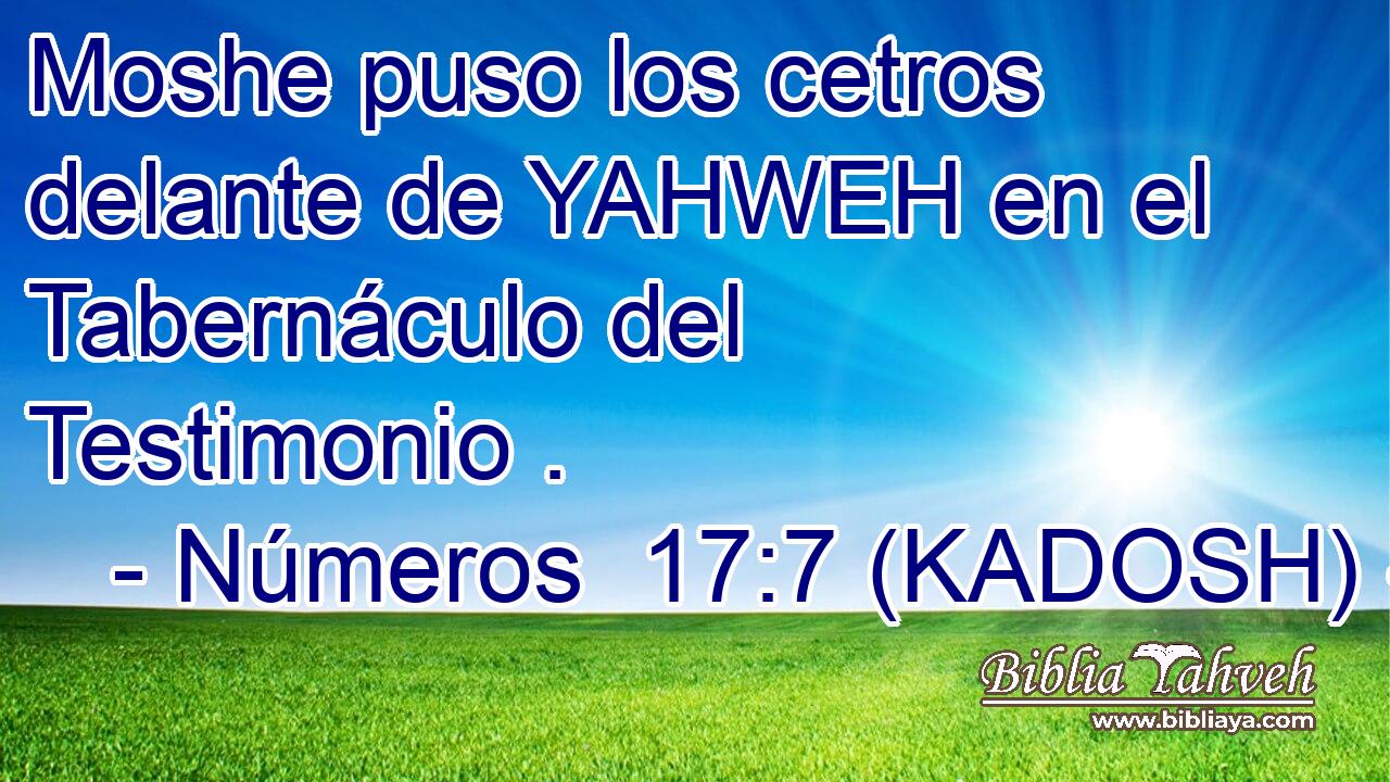  Moshe puso los cetros delante de YAHWEH en el Tabernáculo del Testimonio . 