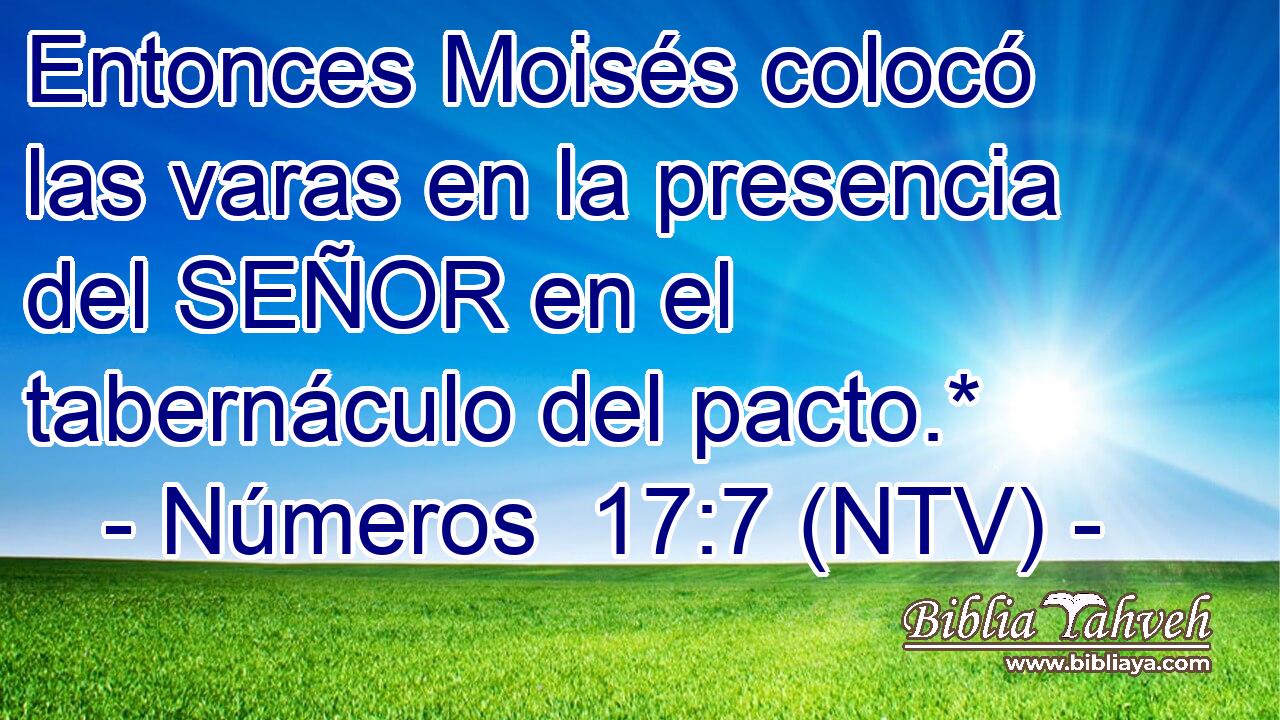 Entonces Moisés colocó las varas en la presencia del SEÑOR en el tabernáculo del pacto.*