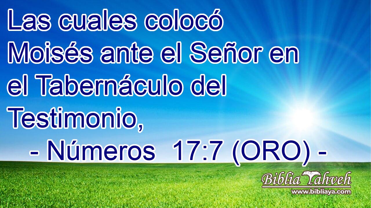  Las cuales colocó Moisés ante el Señor en el Tabernáculo del Testimonio, 