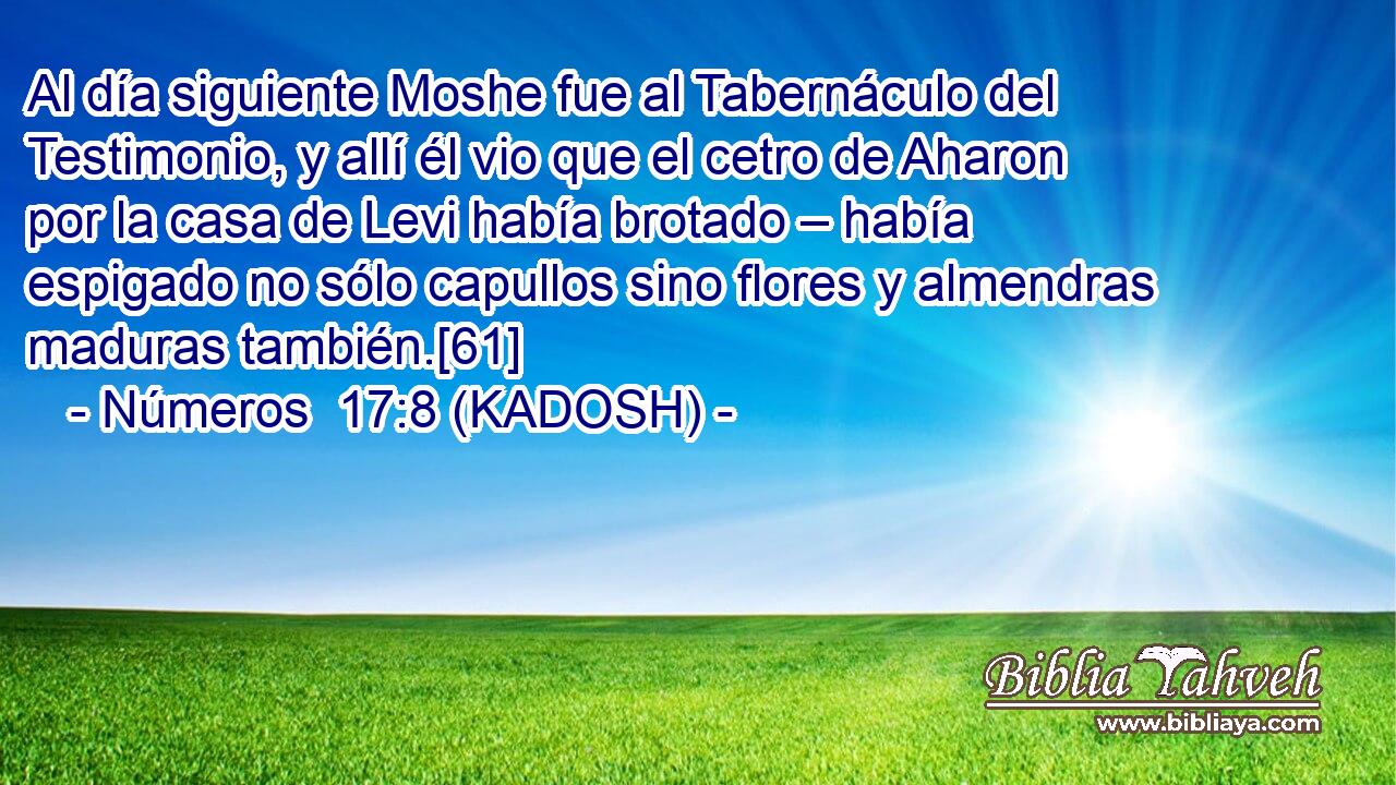  Al día siguiente Moshe fue al Tabernáculo del Testimonio, y allí él vio que el cetro de Aharon por la casa de Levi había brotado – había espigado no sólo capullos sino flores y almendras maduras también.[61] 