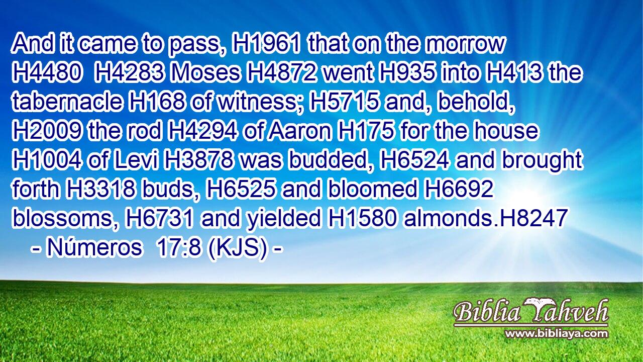 And it came to pass, H1961 that on the morrow H4480  H4283 Moses H4872 went H935 into H413 the tabernacle H168 of witness; H5715 and, behold, H2009 the rod H4294 of Aaron H175 for the house H1004 of Levi H3878 was budded, H6524 and brought forth H3318 buds, H6525 and bloomed H6692 blossoms, H6731 and yielded H1580 almonds.H8247