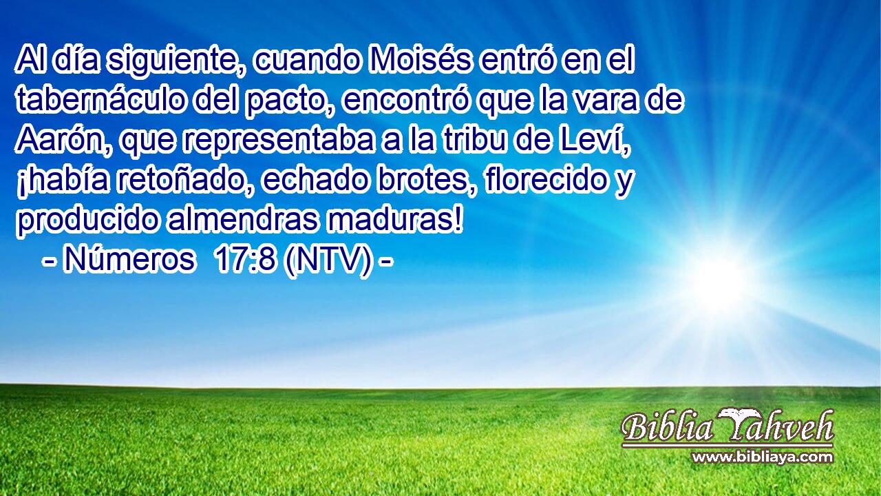 Al día siguiente, cuando Moisés entró en el tabernáculo del pacto, encontró que la vara de Aarón, que representaba a la tribu de Leví, ¡había retoñado, echado brotes, florecido y producido almendras maduras!