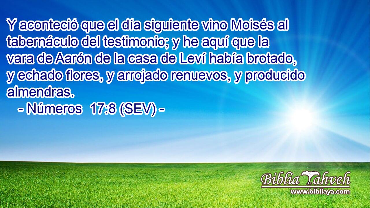 Y aconteció que el día siguiente vino Moisés al tabernáculo del testimonio; y he aquí que la vara de Aarón de la casa de Leví había brotado, y echado flores, y arrojado renuevos, y producido almendras.