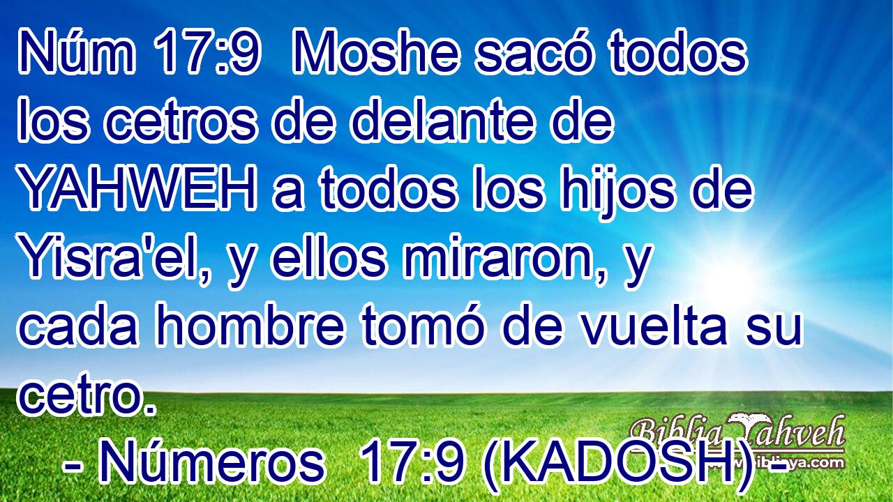  Moshe sacó todos los cetros de delante de YAHWEH a todos los hijos de Yisra'el, y ellos miraron, y cada hombre tomó de vuelta su cetro. 