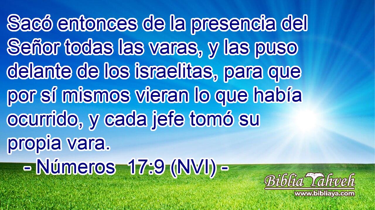  Sacó entonces de la presencia del Señor todas las varas, y las puso delante de los israelitas, para que por sí mismos vieran lo que había ocurrido, y cada jefe tomó su propia vara. 