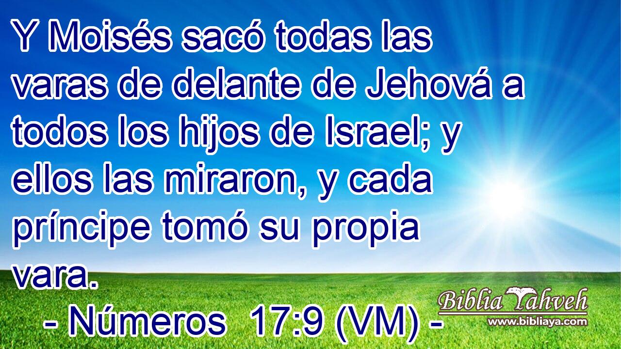  Y Moisés sacó todas las varas de delante de Jehová a todos los hijos de Israel; y ellos las miraron, y cada príncipe tomó su propia vara. 