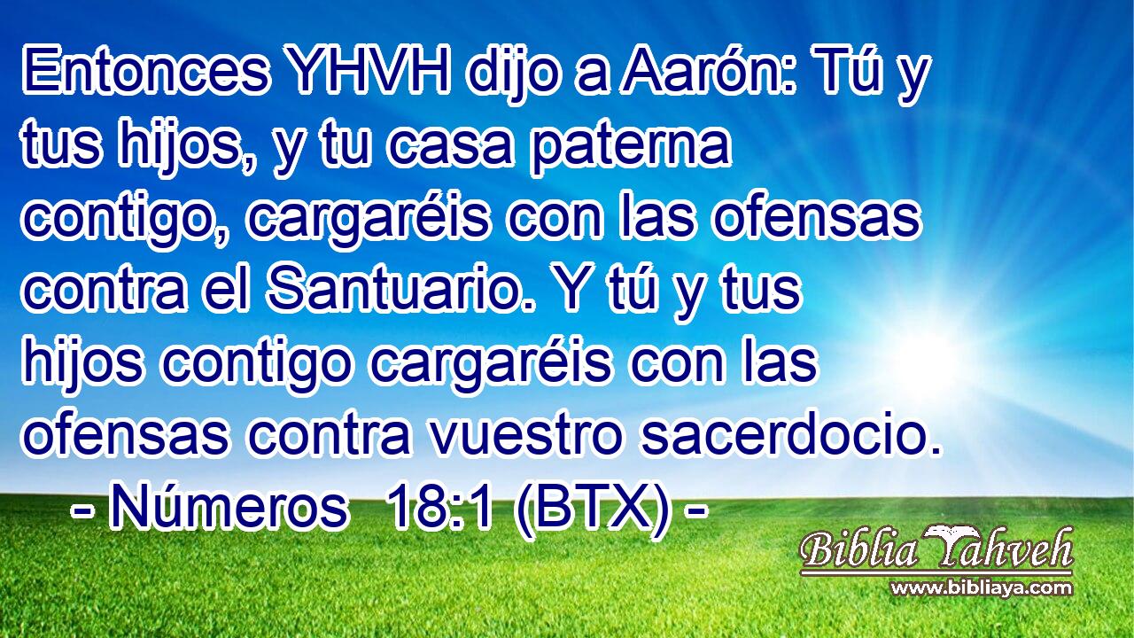 Entonces YHVH dijo a Aarón: Tú y tus hijos, y tu casa paterna contigo, cargaréis con las ofensas contra el Santuario. Y tú y tus hijos contigo cargaréis con las ofensas contra vuestro sacerdocio.