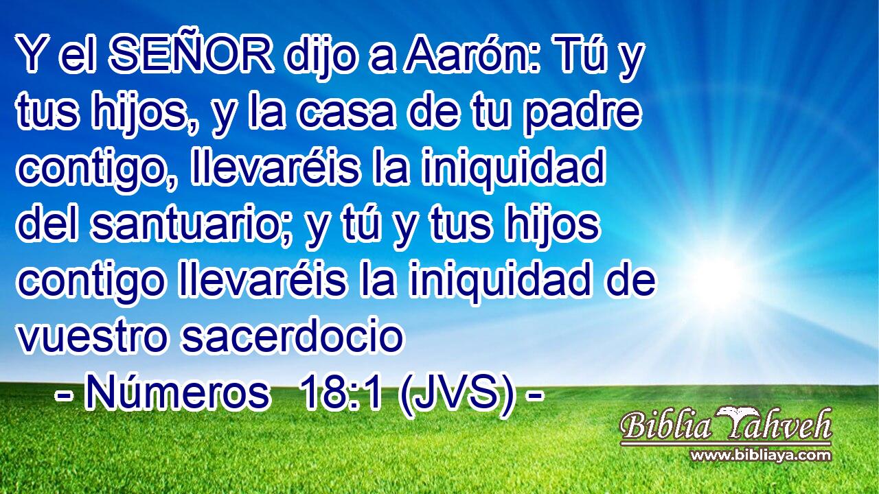 Y el SEÑOR dijo a Aarón: Tú y tus hijos, y la casa de tu padre contigo, llevaréis la iniquidad del santuario; y tú y tus hijos contigo llevaréis la iniquidad de vuestro sacerdocio