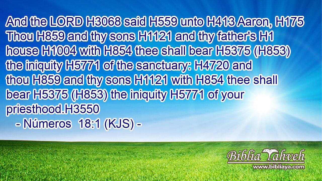 And the LORD H3068 said H559 unto H413 Aaron, H175 Thou H859 and thy sons H1121 and thy father's H1 house H1004 with H854 thee shall bear H5375 (H853) the iniquity H5771 of the sanctuary: H4720 and thou H859 and thy sons H1121 with H854 thee shall bear H5375 (H853) the iniquity H5771 of your priesthood.H3550