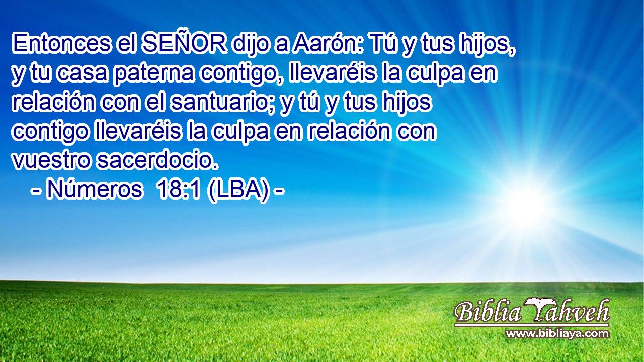 Entonces el SEÑOR dijo a Aarón: Tú y tus hijos, y tu casa paterna contigo, llevaréis la culpa en relación con el santuario; y tú y tus hijos contigo llevaréis la culpa en relación con vuestro sacerdocio.