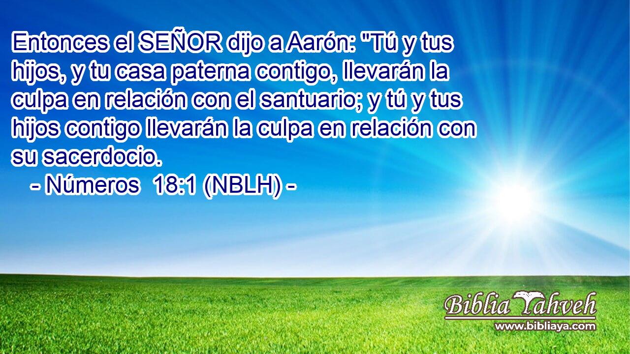 Entonces el SEÑOR dijo a Aarón: 