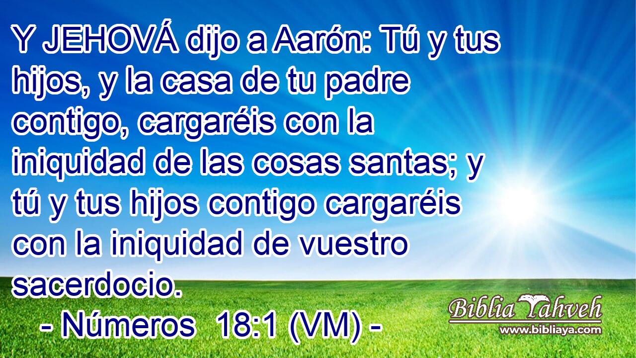  Y JEHOVÁ dijo a Aarón: Tú y tus hijos, y la casa de tu padre contigo, cargaréis con la iniquidad de las cosas santas; y tú y tus hijos contigo cargaréis con la iniquidad de vuestro sacerdocio. 