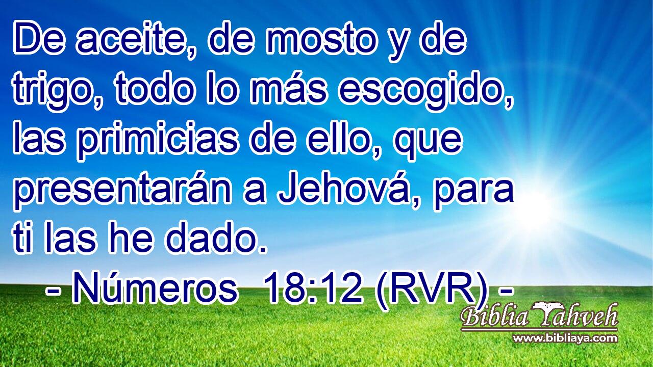 De aceite, de mosto y de trigo, todo lo más escogido, las primicias de ello, que presentarán a Jehová, para ti las he dado.