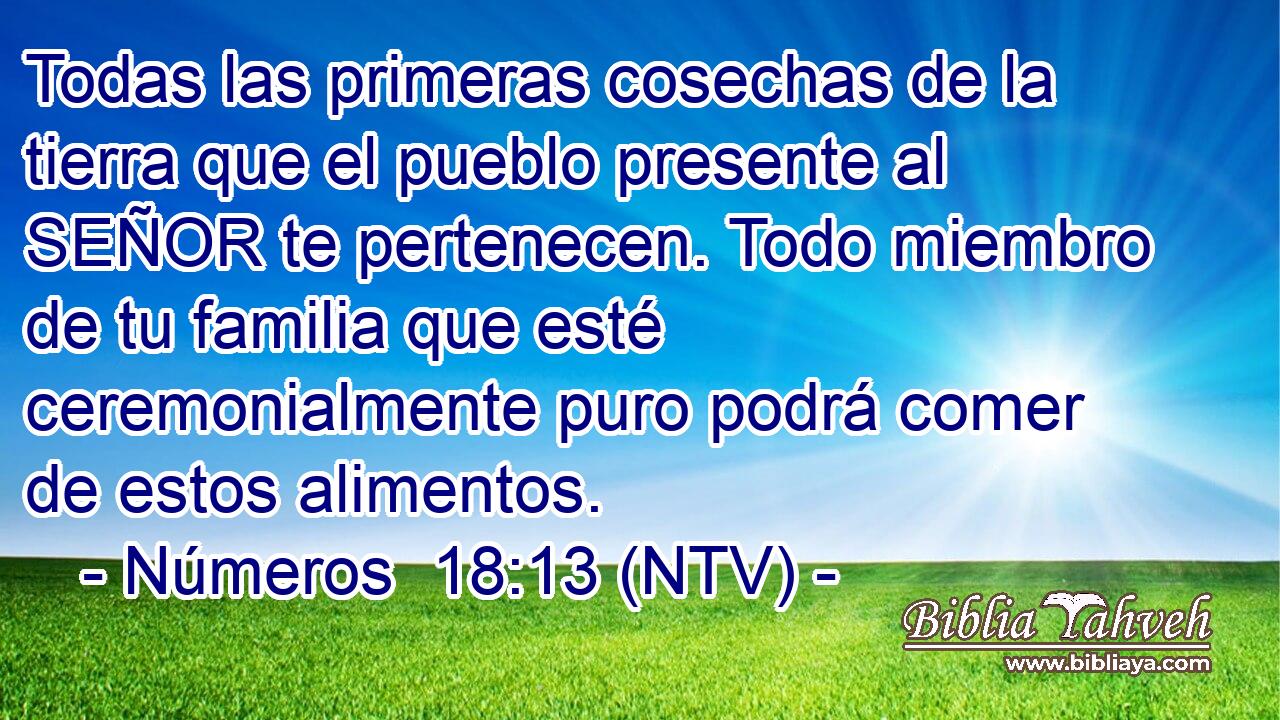 Todas las primeras cosechas de la tierra que el pueblo presente al SEÑOR te pertenecen. Todo miembro de tu familia que esté ceremonialmente puro podrá comer de estos alimentos.