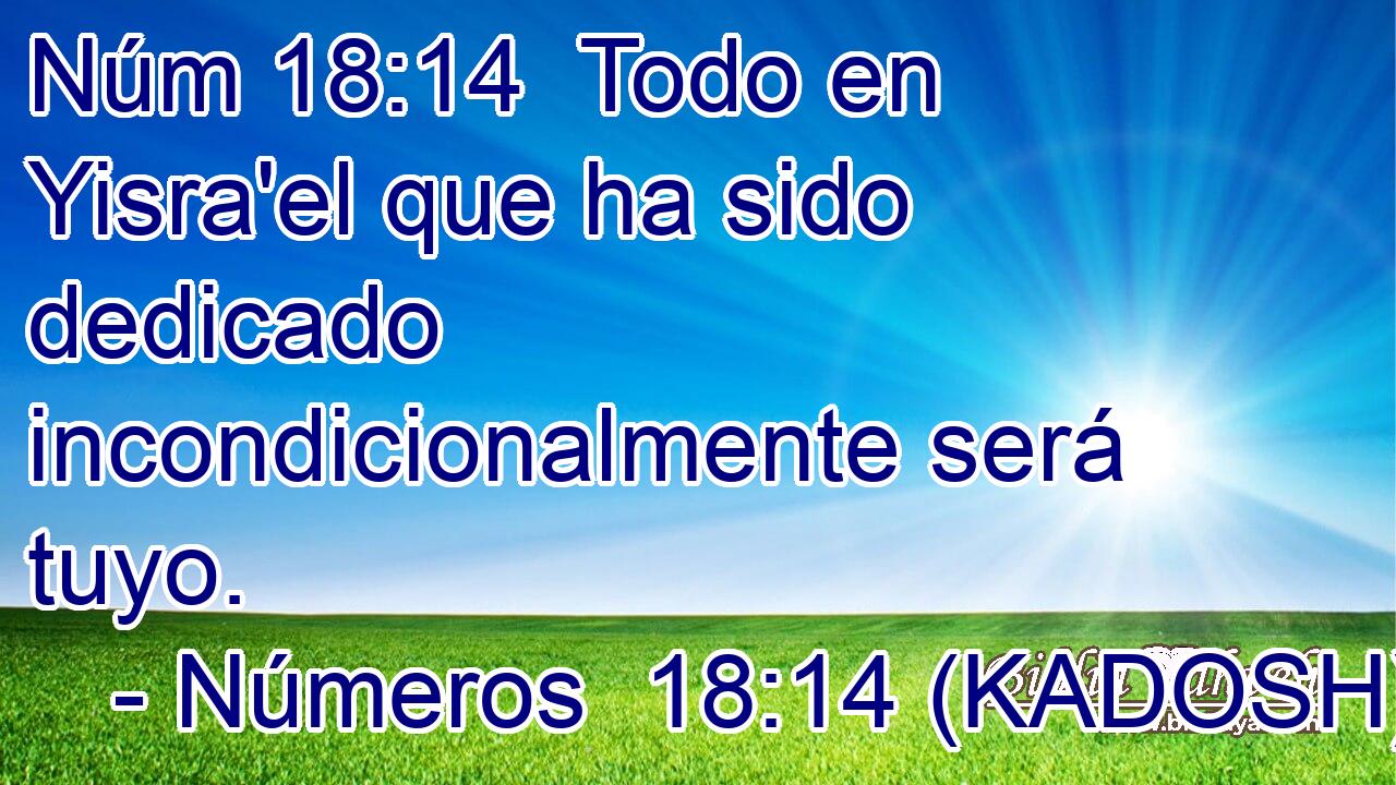  Todo en Yisra'el que ha sido dedicado incondicionalmente será tuyo. 