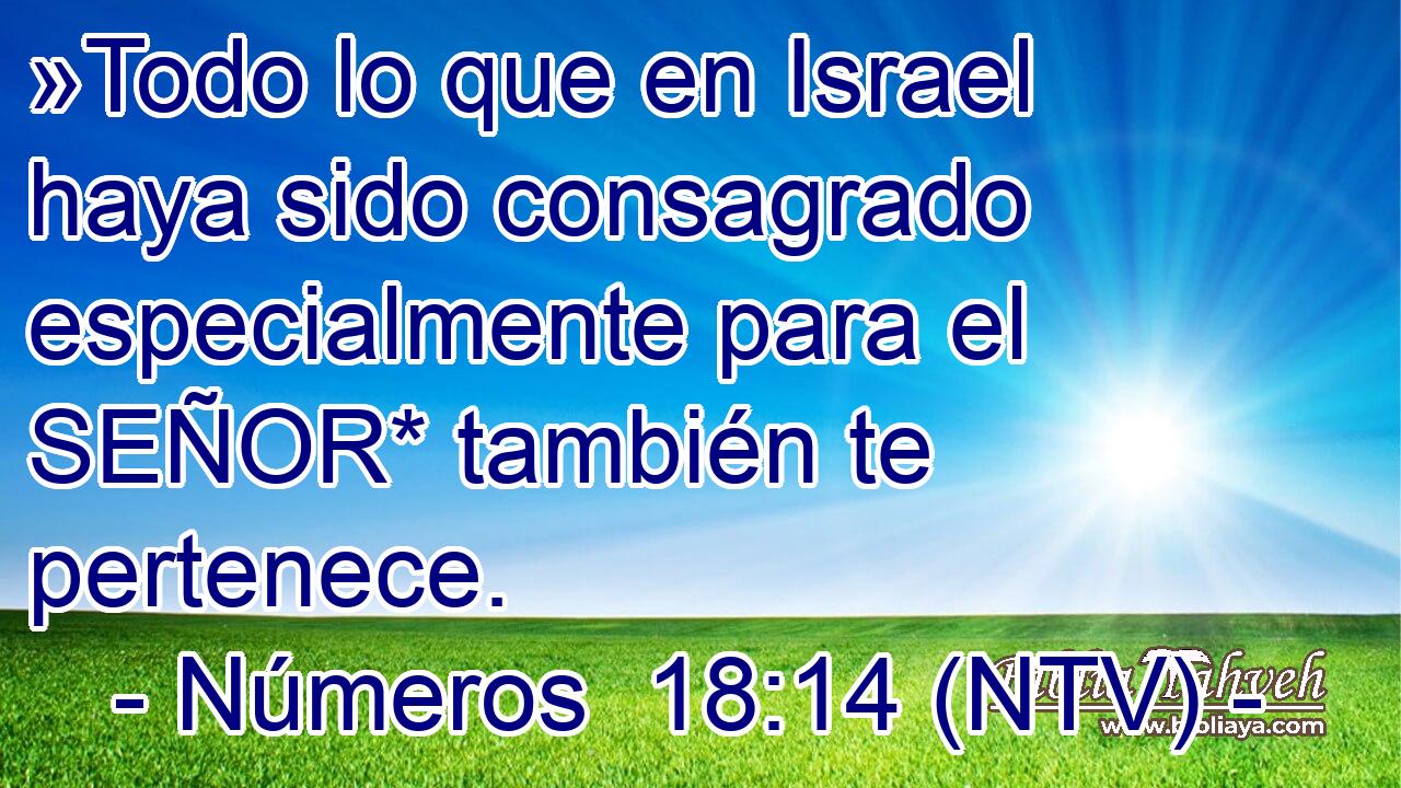 »Todo lo que en Israel haya sido consagrado especialmente para el SEÑOR* también te pertenece.