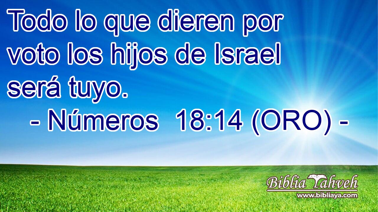  Todo lo que dieren por voto los hijos de Israel será tuyo. 