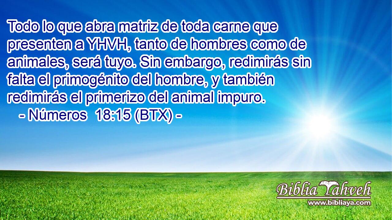 Todo lo que abra matriz de toda carne que presenten a YHVH, tanto de hombres como de animales, será tuyo. Sin embargo, redimirás sin falta el primogénito del hombre, y también redimirás el primerizo del animal impuro.