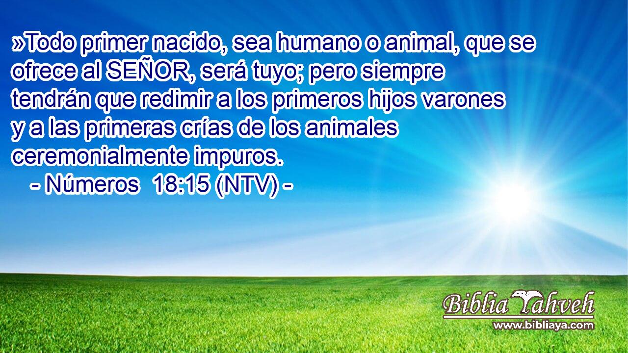 »Todo primer nacido, sea humano o animal, que se ofrece al SEÑOR, será tuyo; pero siempre tendrán que redimir a los primeros hijos varones y a las primeras crías de los animales ceremonialmente impuros.